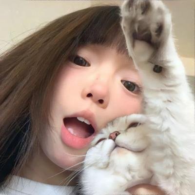 动画冒险