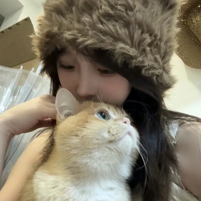生活,高于一切