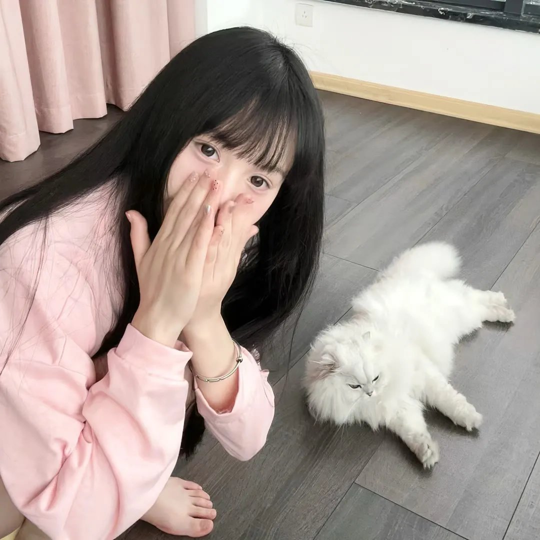 类人猿行动